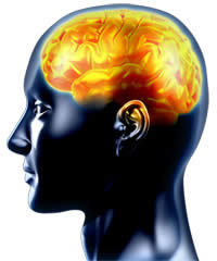 Rewiring your brain